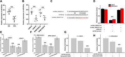 N6-methyladenosine-modified circ_0000337 sustains bortezomib resistance in multiple myeloma by regulating DNA repair